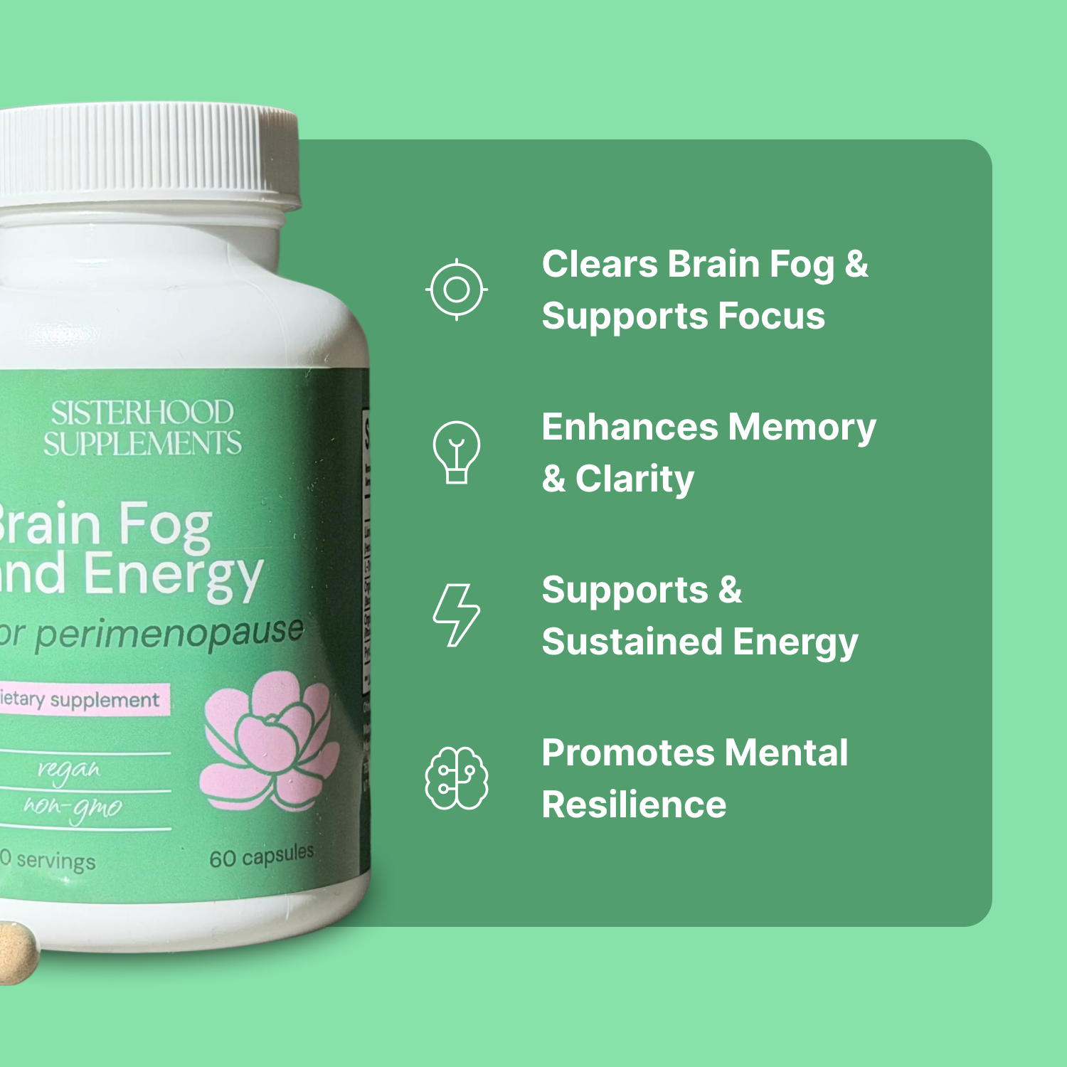 BRAIN FOG & ENERGY