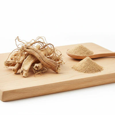 Valerian Root (Valeriana officinalis)